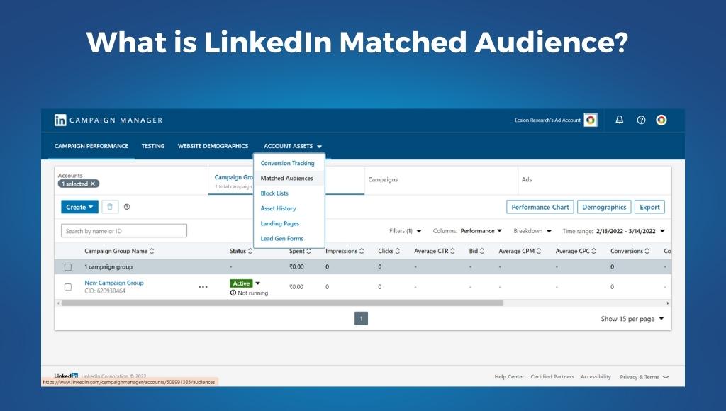 what is linkedin matched audience