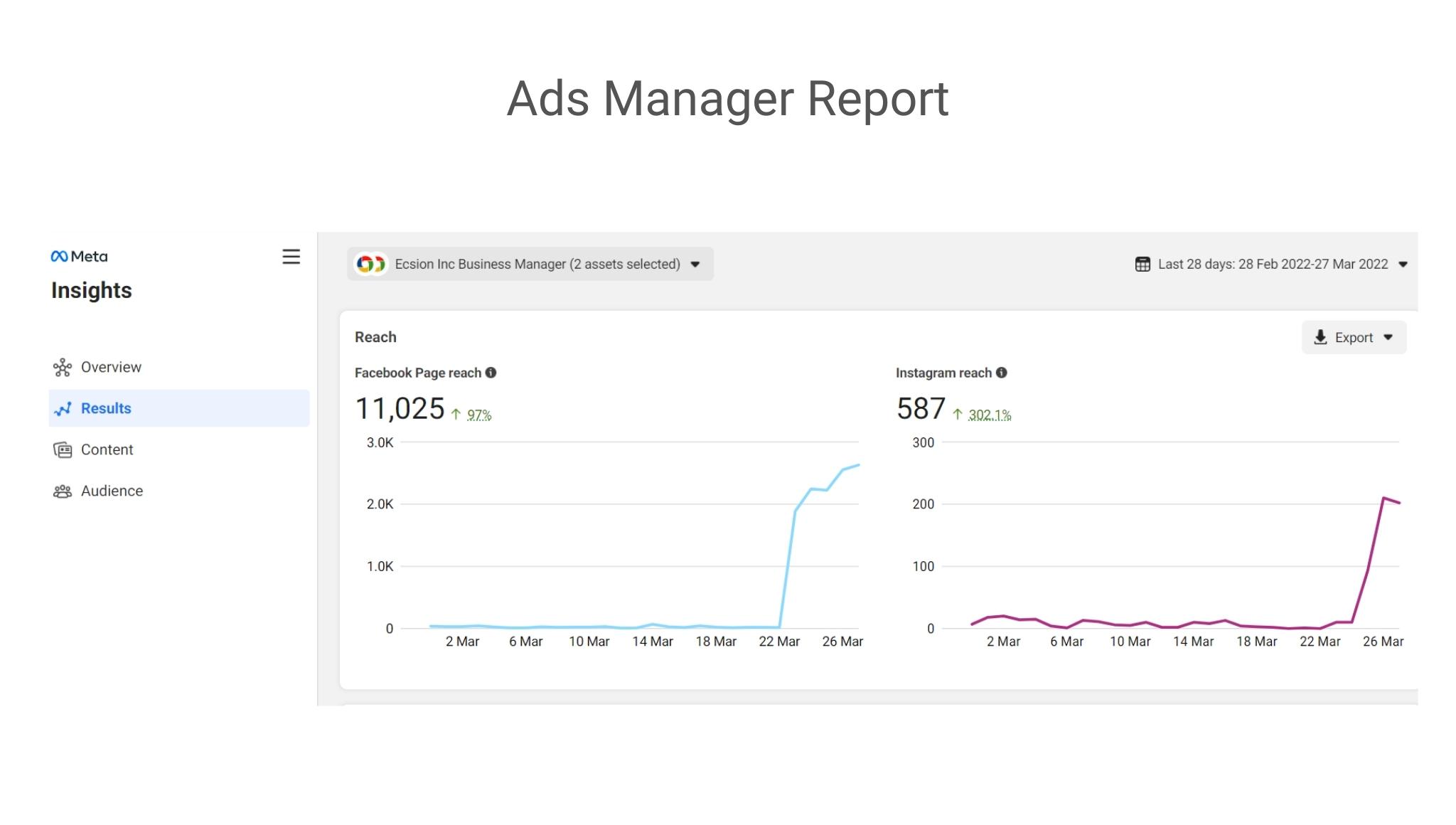 Share ads manager reports 