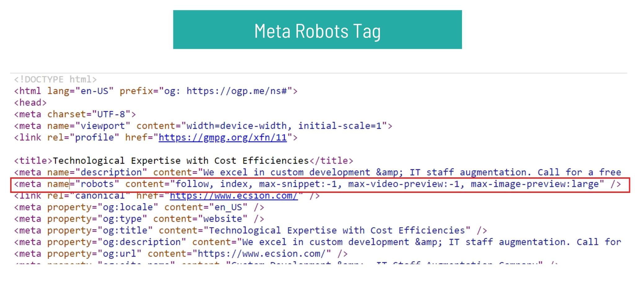 meta robots tag