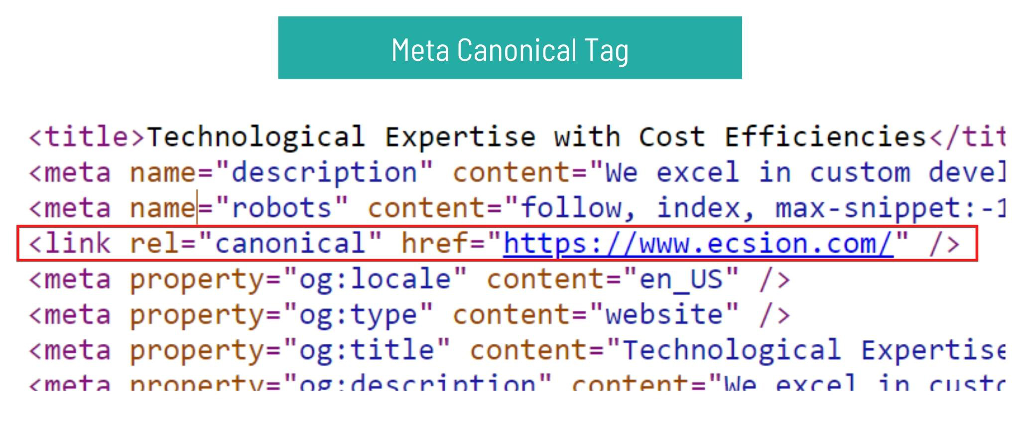 meta canonical tag
