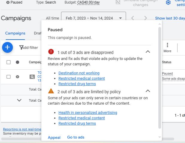 Google Ads Disapproval Reason